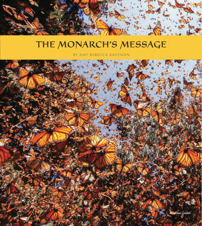 The Monarch's Message